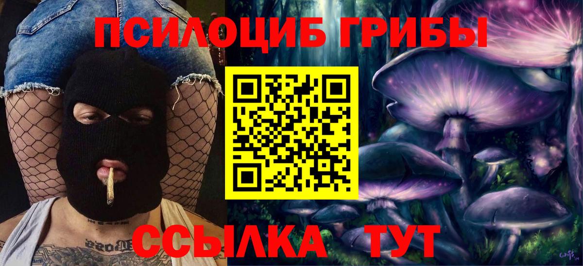 Туапсе  Псилоцибиновые грибы GOLDEN TEACHER  Вход с VPN 